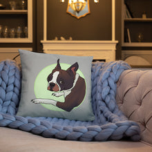 Load image into Gallery viewer, Ace - Pillow
