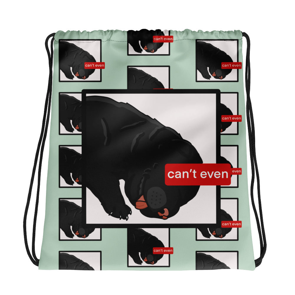 I Litterally Cannot Even - Drawstring Bag